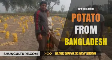 Exporting Potatoes from Bangladesh: A Comprehensive Guide for Success