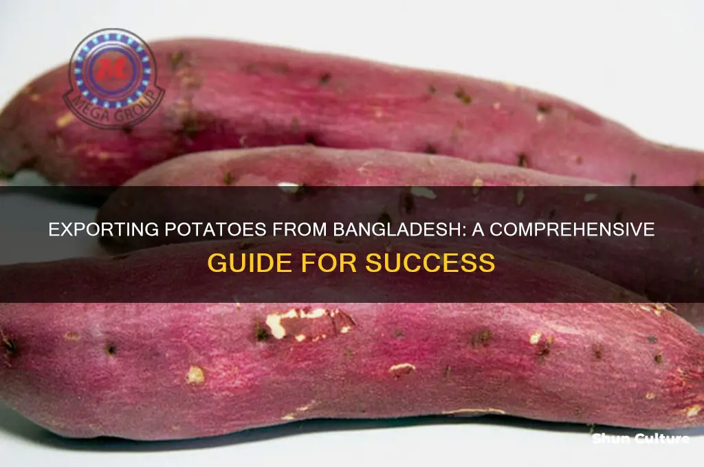 how to export potato from bangladesh