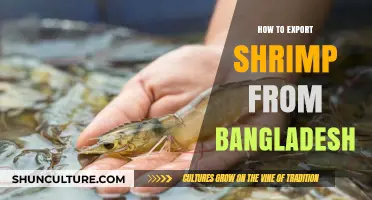 Exporting Shrimp from Bangladesh: A Comprehensive Guide to Success