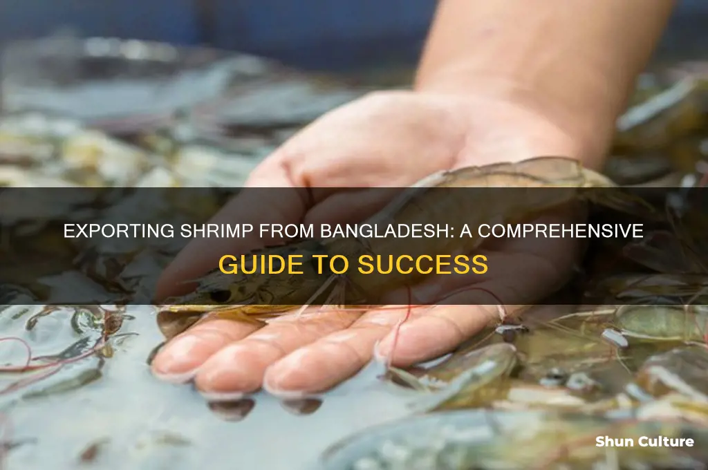 how to export shrimp from bangladesh