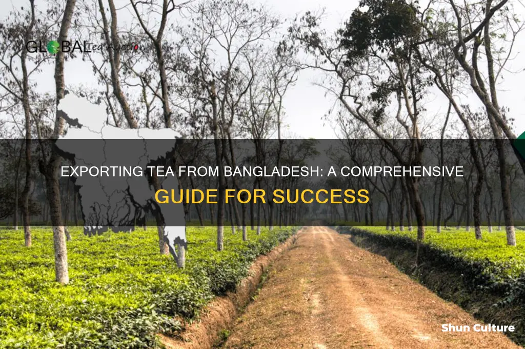 how to export tea from bangladesh