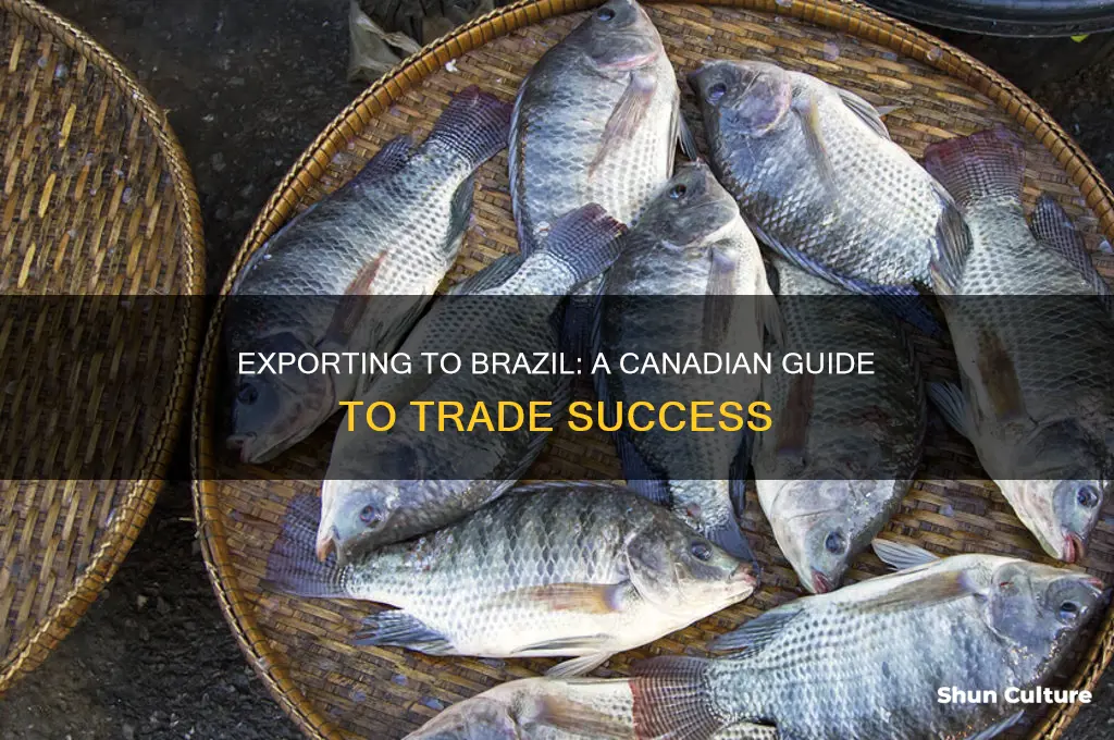 how to export to brazil from canada