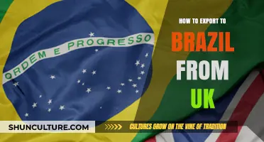 Exporting to Brazil from the UK: A Comprehensive Guide for Success