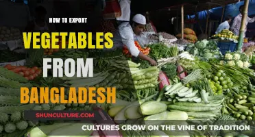 Exporting Vegetables from Bangladesh: A Comprehensive Guide to Success