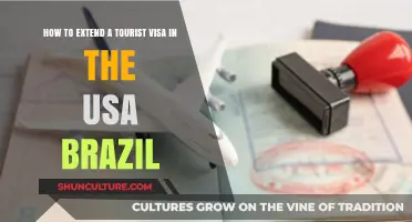 Extending Your USA Tourist Visa as a Brazilian Visitor: A Guide
