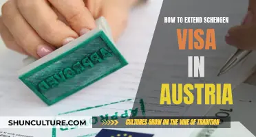 Schengen Visa Extension Tips: Austria Edition