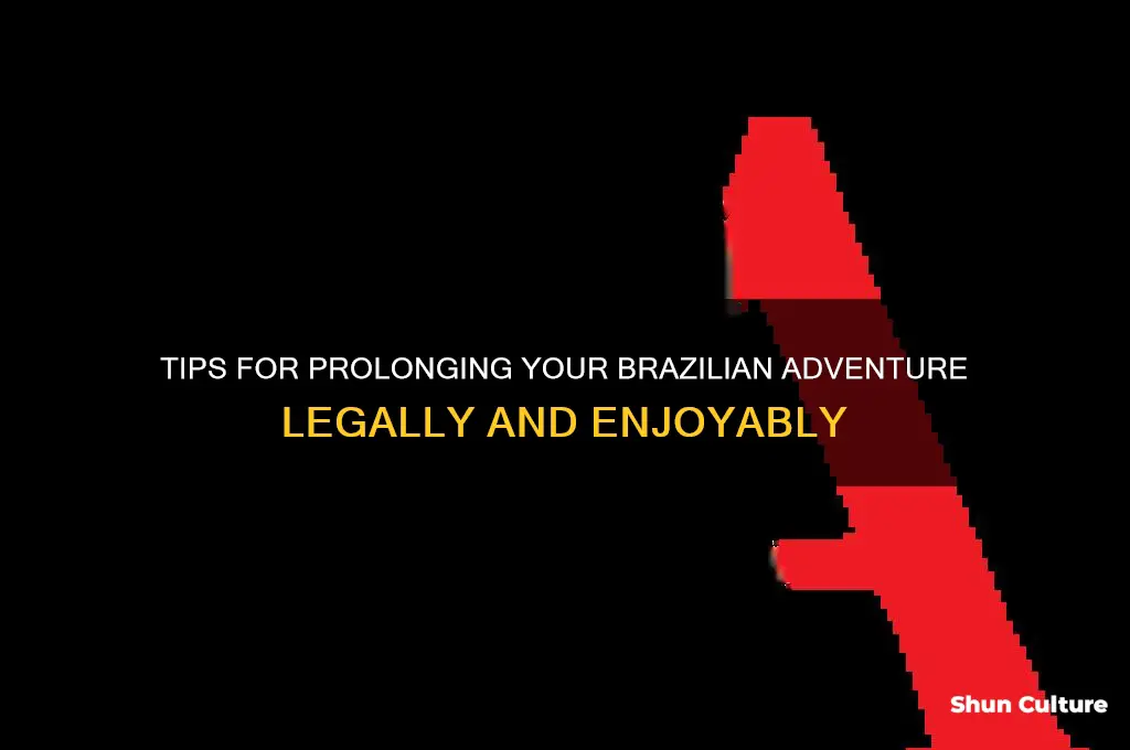 how to extend your stay in brazil