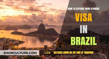 Extending Your Student Visa in Brazil: A Step-by-Step Guide