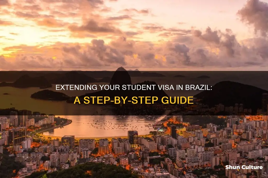 how to extend your student visa in brazil