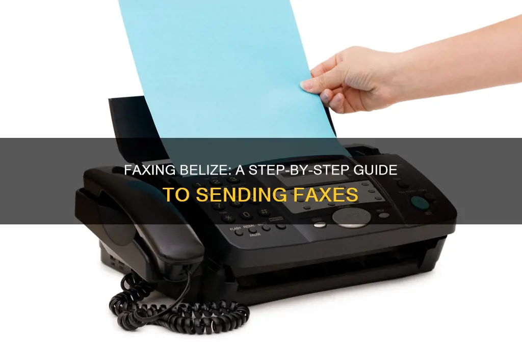 how to fax belize