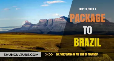 Shipping to Brazil: A Step-by-Step FedEx Package Guide