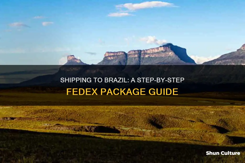 how to fedex a package to brazil