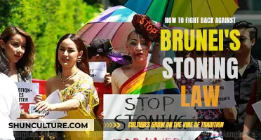 Fighting Brunei's Stoning Law: Strategies for Resistance