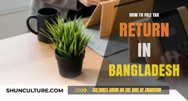 A Step-by-Step Guide to Filing Tax Returns in Bangladesh