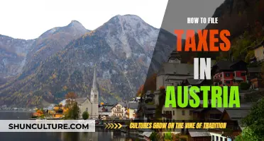 A Comprehensive Guide: Filing Taxes in Austria