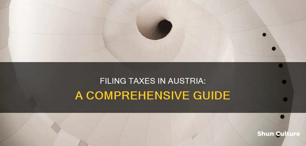 how to file taxes in austria