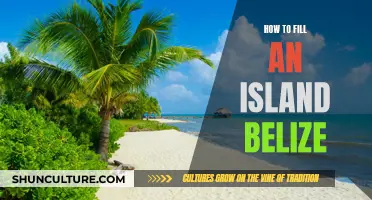 The Ultimate Guide to Filling Your Island in Belize