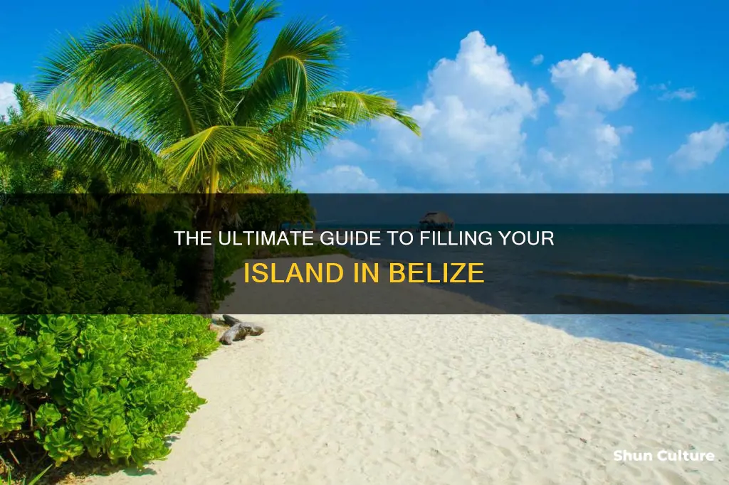 how to fill an island belize