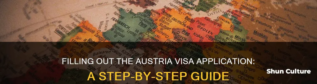 how to fill austria visa application form