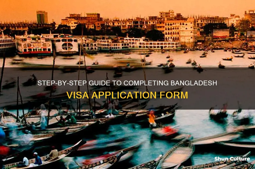 how to fill bangladesh visa form