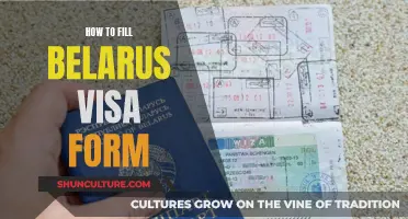 A Simple Guide to Filling Out the Belarus Visa Form