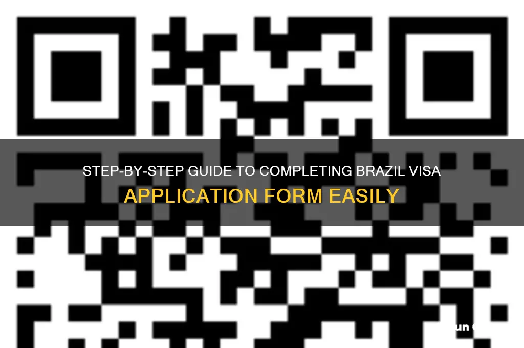 how to fill brazil visa application form