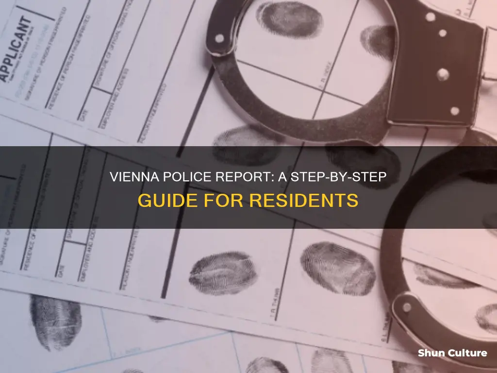 how to fill out a police report for vienna austria