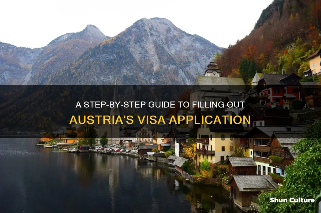 how to fill out visa c application for austria
