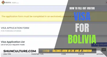 Bolivia Visitor Visa: Application and Requirements Guide