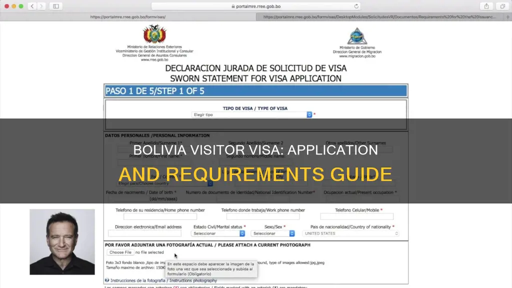 how to fill out visitor visa for bolivia