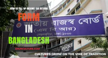 Step-by-Step Guide to Filing Income Tax Returns in Bangladesh