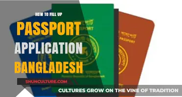 Complete Guide to Filling Bangladesh Passport Application Form Easily