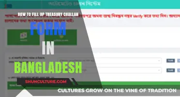 Step-by-Step Guide to Completing Treasury Challan Forms in Bangladesh