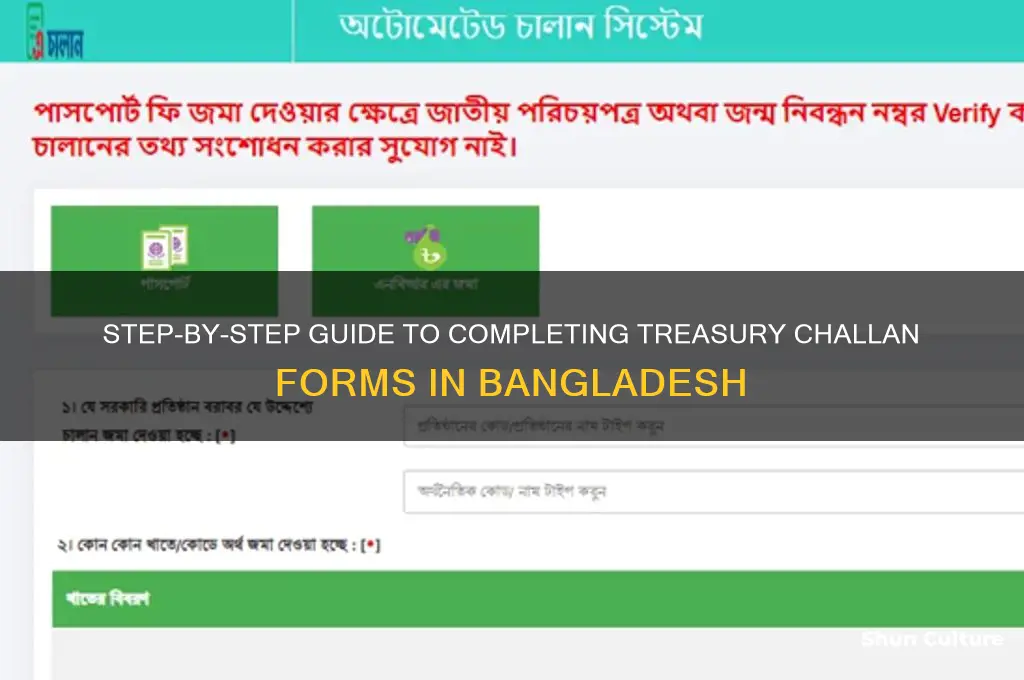 how to fill up treasury challan form in bangladesh