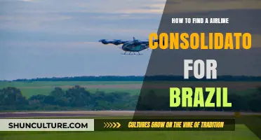 Finding Brazil's Best Airline Consolidators: Tips and Tricks