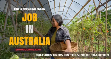 Fruit Picking Jobs: Australia's Harvest Trail