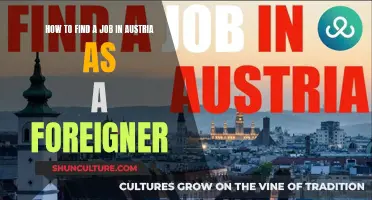 Unlocking the Austrian Job Market: A Foreigner's Guide to Success