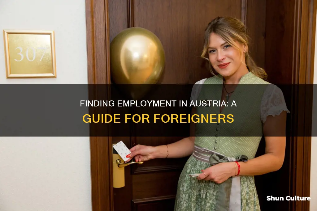 how to find a job in austria as a foreigner