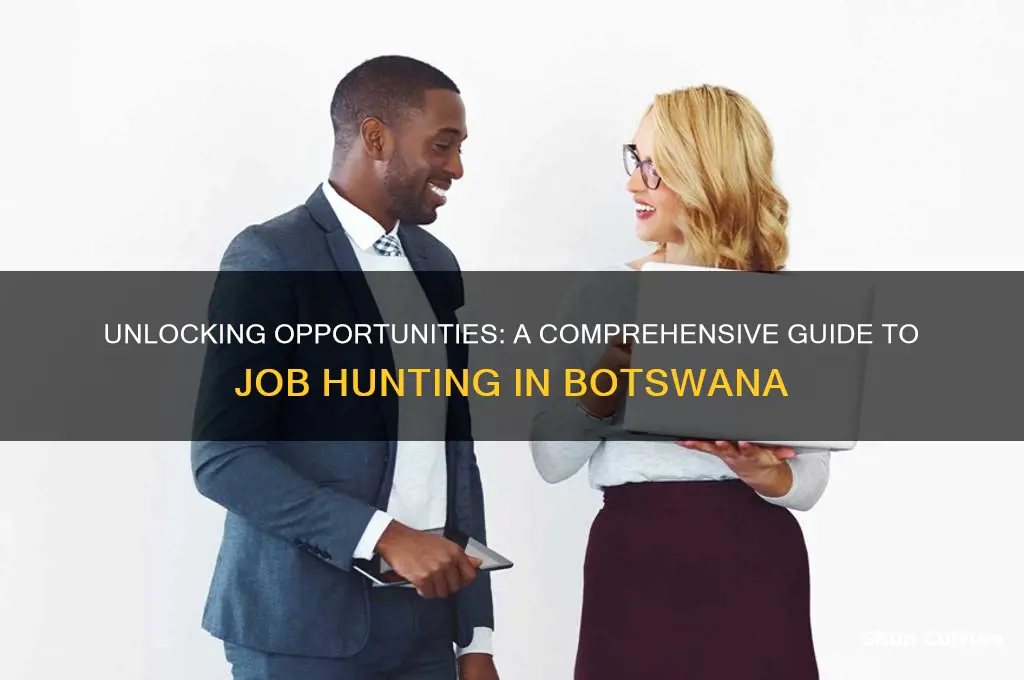 how to find a job in botswana