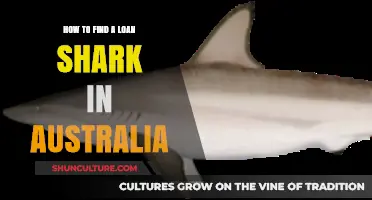 Finding Loan Sharks: The Australian Guide