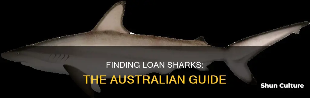 how to find a loan shark in australia