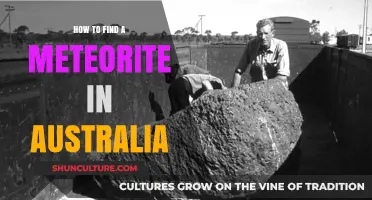Discover Meteorites in Australia: A Beginner's Guide