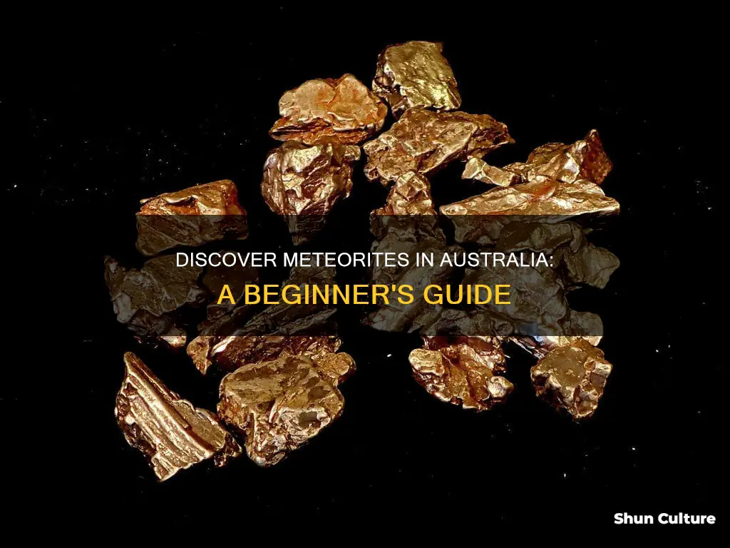 how to find a meteorite in australia