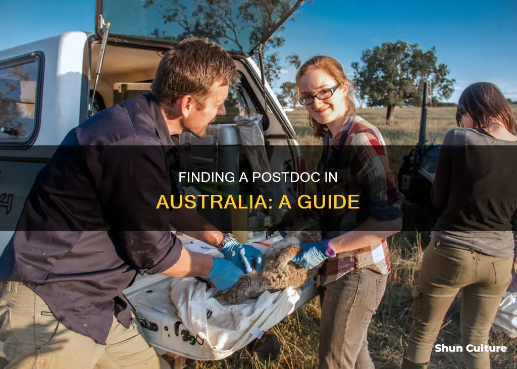 how to find a postdoc in australia