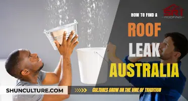 Finding Roof Leaks: A Guide for Australian Homes