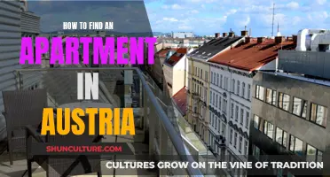 A Comprehensive Guide: Finding Your Dream Apartment in Austria