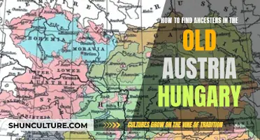 Uncover Your Roots: A Guide to Ancestral Research in Austria-Hungary