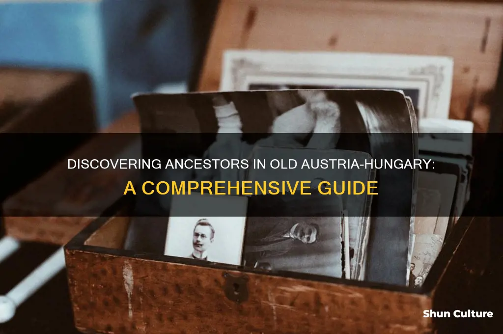 how to find ancesters in the old austria hungary