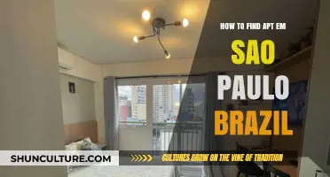 Discovering Your Perfect Apartment in São Paulo, Brazil: A Guide