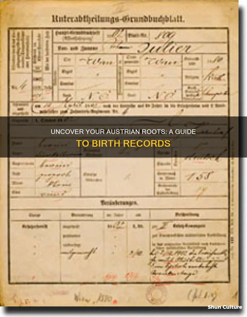 how to find austrian birth records